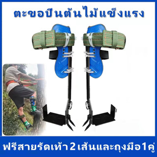 ปีนต้นไม้ ต้นไม้ รุ่น  เข็มขัดเซฟตี้  Tree Pole Climbing Spike ​Set เข็มขัดนิรภัยคาดเอวครึ่งตัว