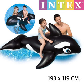 INTEX แพยางเป่าลม วาฬดำ วาฬฟ้า