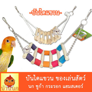 ของเล่นนก บันไดแขวน บันไดนก ชิงช้านก ตกแต่งกรง นก กระรอก ชูก้า กระรอก ลิง นกแก้ว parrot toy