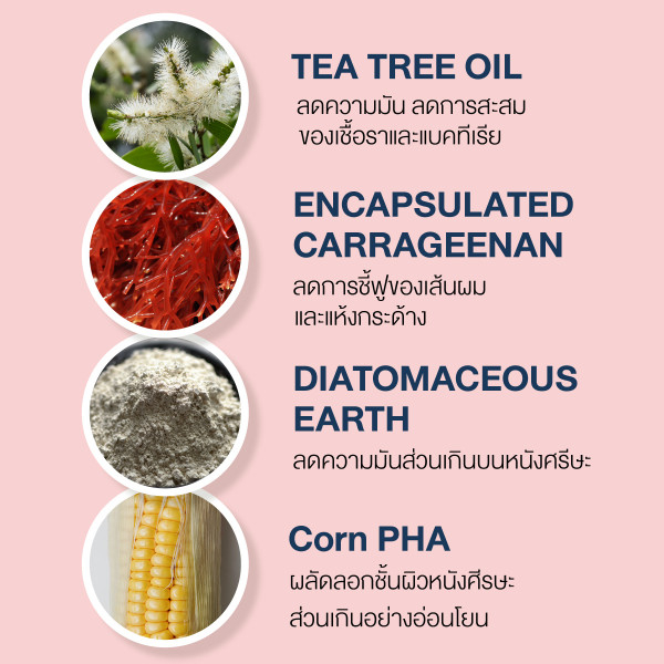 สูตร-ลดรังแค-kraam-hair-amp-scalp-detoxifying-shampoo-tea-tree-oil-amp-encapsulated-carrageenan