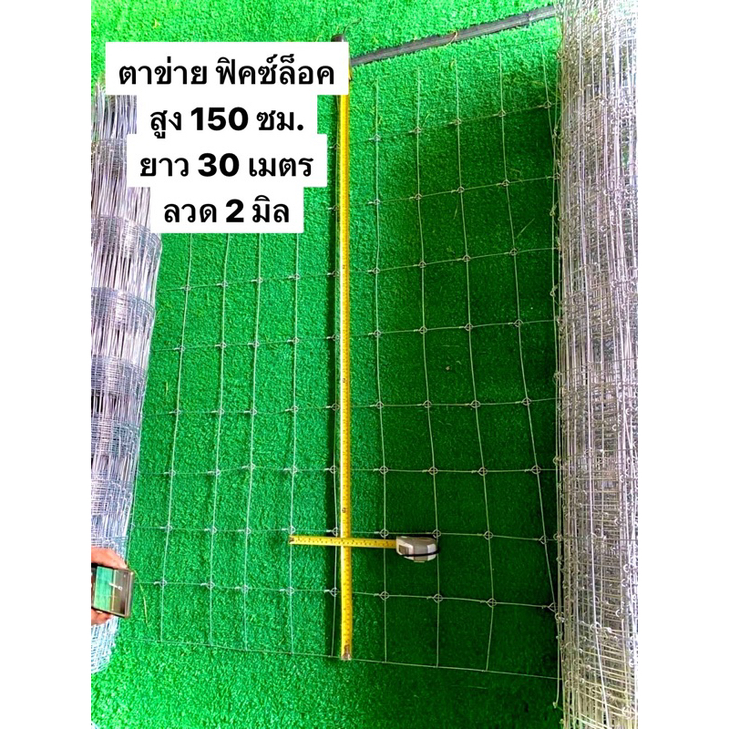 ลวดตาข่าย-ล้อมแพะ-แกะ-ฟิคซ์ล็อคและถักปม-สูง150cm-ความถี่5cm-และ-10cm-ล้อมฟาร์ม-รั้วตาข่ายถูกสุด-ล้อมบ้าน-ล้อมสวน-ตาข่าย