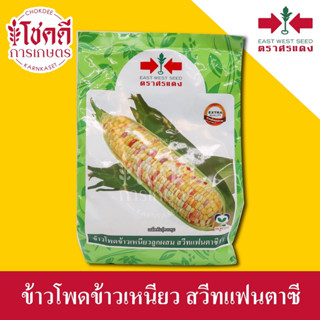 ข้าวโพด สวีทแฟนตาซี ข้าวโพดหวาน มี 3 สี ขาว เหลือง ม่วง รสชาติเหนียว นุ่ม ลูกผสม ตรา ศรแดง บรรจุ 1 กิโลกรัม/200 กรัม