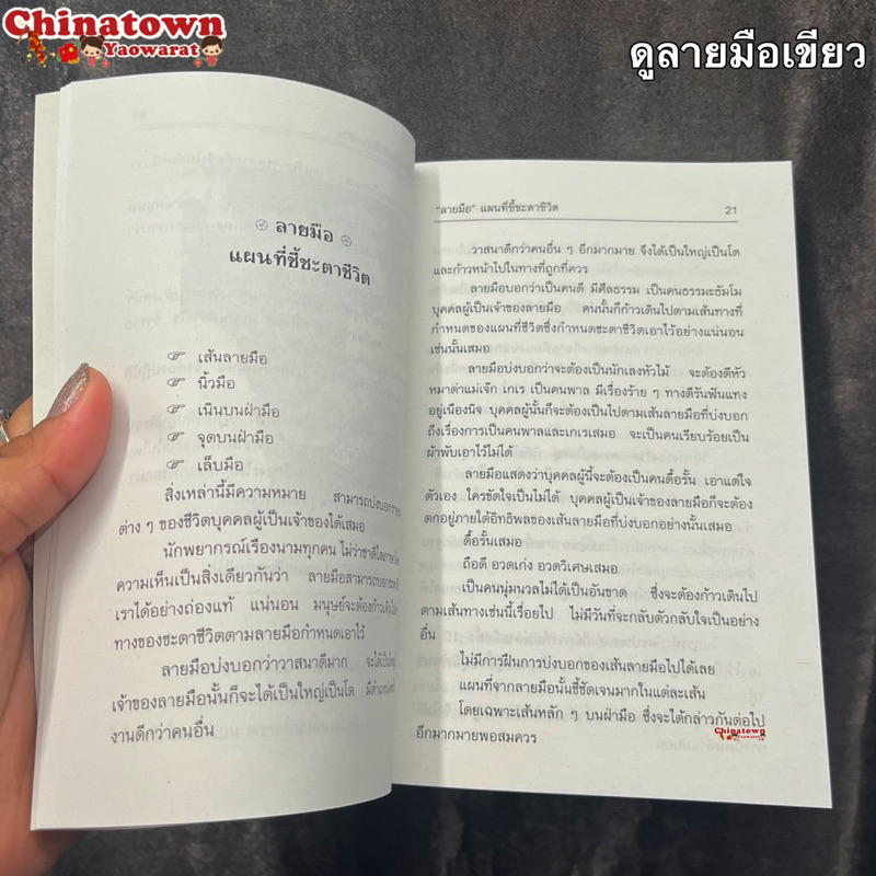 ลายมือ-แผนที่ชี้ชะตาชีวิต-ดูดวงลายมือ-ความรัก-เนื้อคู่-การครองชีพ-การเดินทาง-การเสี่ยงโชค-ดูลายมือ-ญาณทิพย์-หมอดู