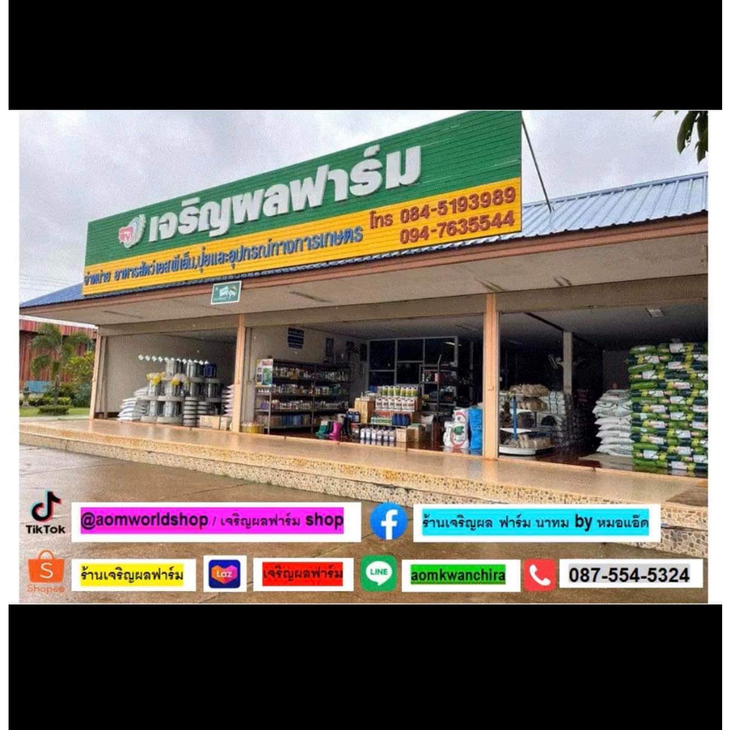 return-1-5-ตราม้าบิน