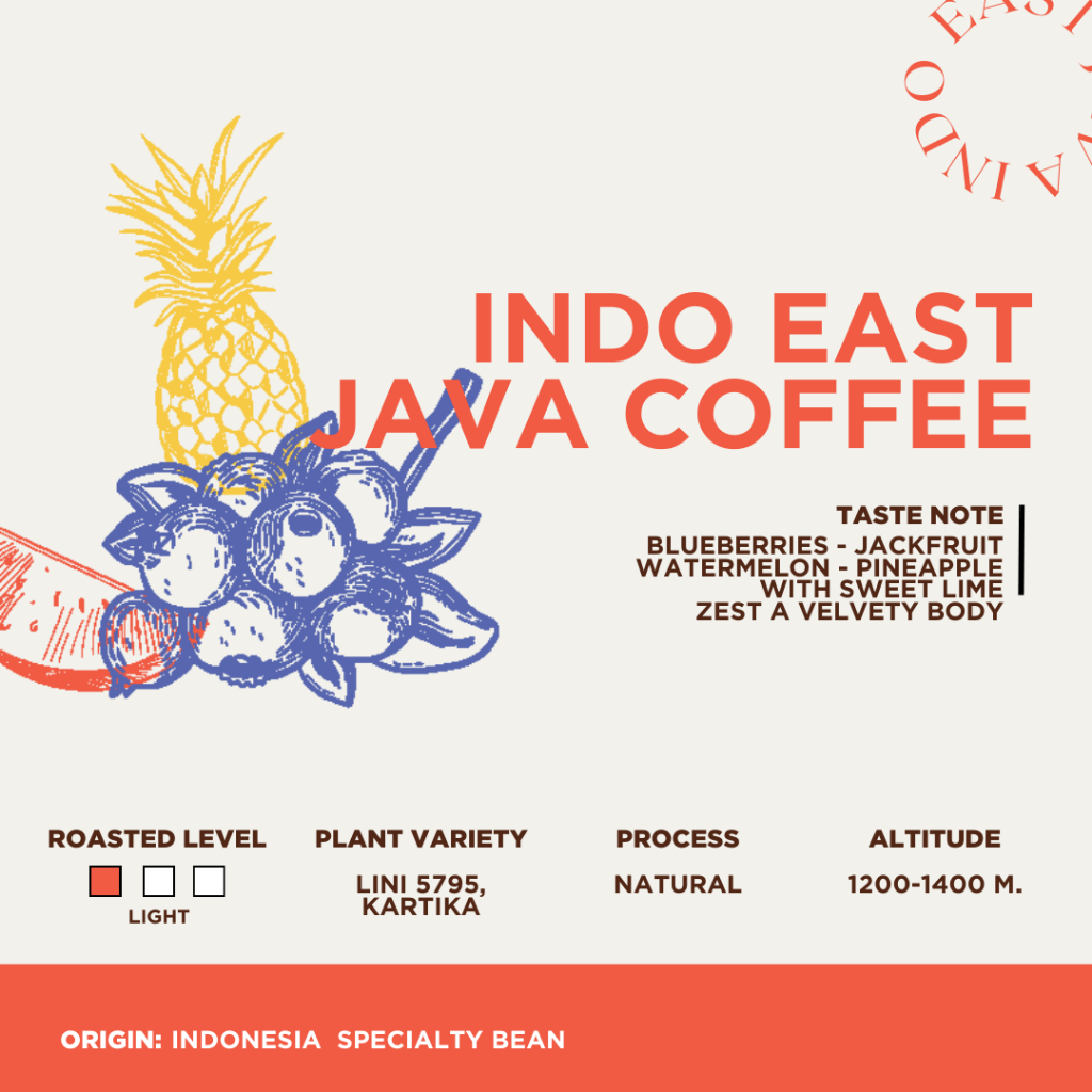 โค้ด-8m6vdt-ลดเพิ่ม-130-เมื่อซื้อขั้นต่ำ-1-000-beno-กาแฟดริปคั่วอ่อนพิเศษ-indo-east-java-coffee-drip-bag-จากอินโดน