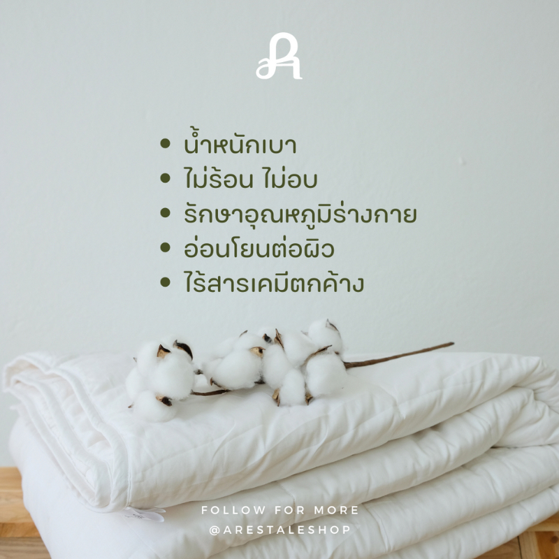 arestale-set-c-plus-ผ้าปูที่นอน-ปลอกผ้านวม-ปลอกหมอน-2-ใบ-ไส้ผ้านวมคอตตอน-ผ้าฝ้ายแท้-100-long-staple-cotton