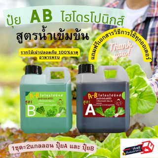 ปุ๋ยAB ปุ๋ยน้ำ ปุ๋ยเอบี ปุ๋ยผักสลัด ขนาด1ลิตร และ250ml แบบแกลลอน สูตรปรับปรุง