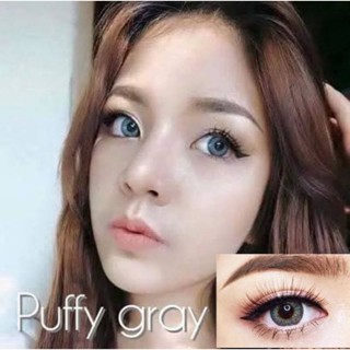 Puffy gray Brown by Montralens ตาโต 3 Tone เทาอมฟ้า