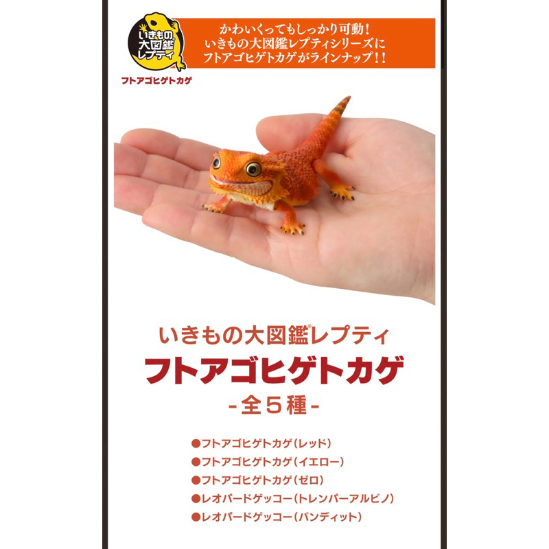 gashapon-กาชาปองญี่ปุ่นแท้-ตัวเบี๊ยดดราก้อน-bearded-dragon