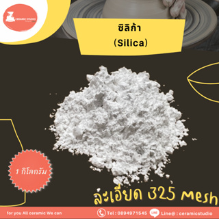 Silica powder (SiO2)/Quartz Powder แร่ซิลิกา/ควอตซ์ ชนิดผง ปริมาณ 1 กิโลกรัม