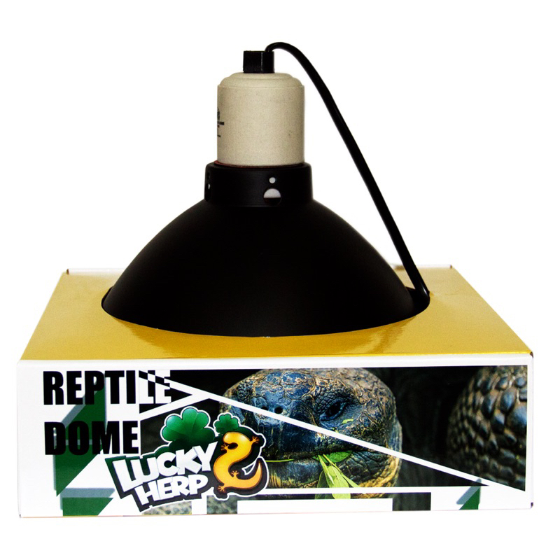 Baardagaam Accessoires Reptielen Hagedis Reptiel U... – Grandado