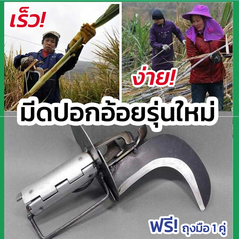 a117-มีดปอกอ้อย-มีดตัดอ้อย-มีดขูดอ้อย-มีดขูดผิวอ้อย-อุปกรณ์ขูดอ้อย-อุปกรณ์ขูดผิวอ้อย-ที่ปอกอ้อย-อ้อยคั้นน้ำ-น้ำอ้อย