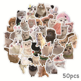 สติ๊กเกอร์ น้องแมวน่ารัก 556 น้องแมว 50ชิ้น น้องน่ารักมาก น้อง แมว น่ารัก cat น้อน แมว เหมียว แมวส้ม รูป เท้าแมว แ ม ว