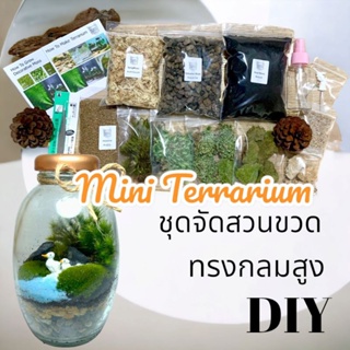 ชุดจัดสวนขวด สวนขวด Terrarium ขวดแก้วทรงกลมสูง