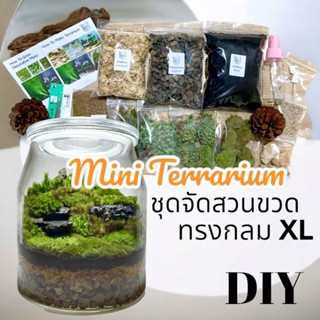 ชุดจัดสวนขวด สวนขวด Terrarium ขวดแก้วใหญ่ XL