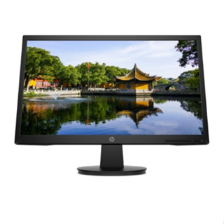 HP V22v FHD Monitor (450M4AA)