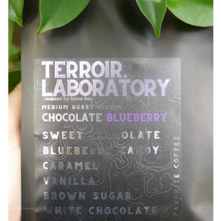 &lt;New Blend&gt; เมล็ดกาแฟ "CHOC BLUEBERRY" [Terroir Laboratory] - Sweet chocolate, Blueberry candy, Caramel, (Medium,250g)