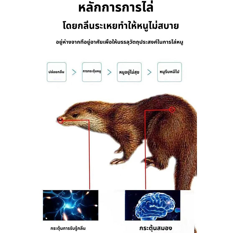 นำเข้าจากญี่ปุ่น-สเปรย์ไล่หนู-น้ำยาไล่หนู-100ml-ไล่หนู-น้ำยาฉีดไล่หนู-เครื่องไล่หนู-ไล่หนูในบ้าน-ที่ไล่หนู-ก้อนไล่หน