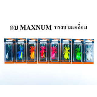 กบแม็กนัม MAXNUM ทรงสามเหลี่ยม