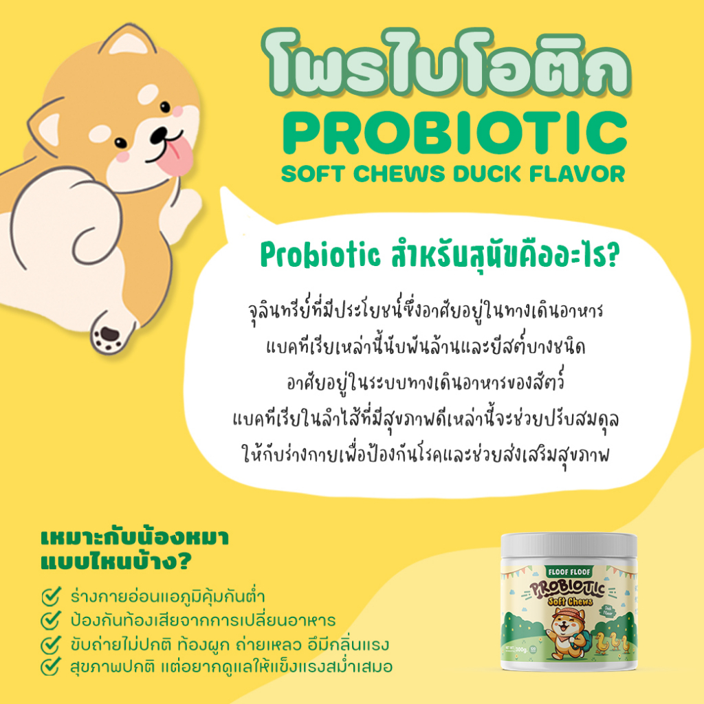 สุดคุ้ม-mini-healthy-set-11-in-1-probiotics-krill-oil-วิตามินบำรุงสัตว์เลี้ยง