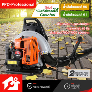 PPD เครื่องเป่าลมสะพายหลัง เป่าใบไม้ เป่าไฟป่า เครื่องยนต์ 2 จังหวะ BLOWER