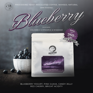 Cherrydog | เมล็ดกาแฟ คั่วกลางอ่อน Blueberry blend (Omni Roasted) ขนาด 100g.-200g. | Signature Blend