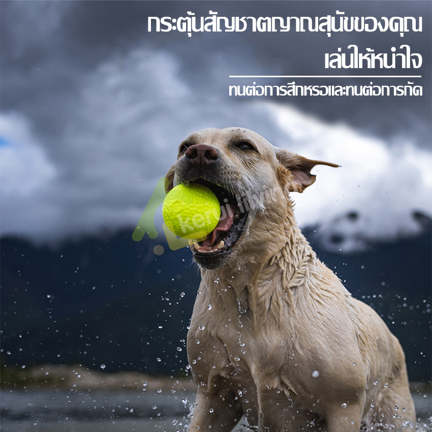 ลูกบอลสุนัข-ยางกัดสุนัข-ลูกบอลยาง-สำหรับโยน-กัดเล่น-บอลยาง-dog-training-ball-ลูกบอลนิ่ม-เคี้ยวเล่นสนุกสนาน-คาบง่าย
