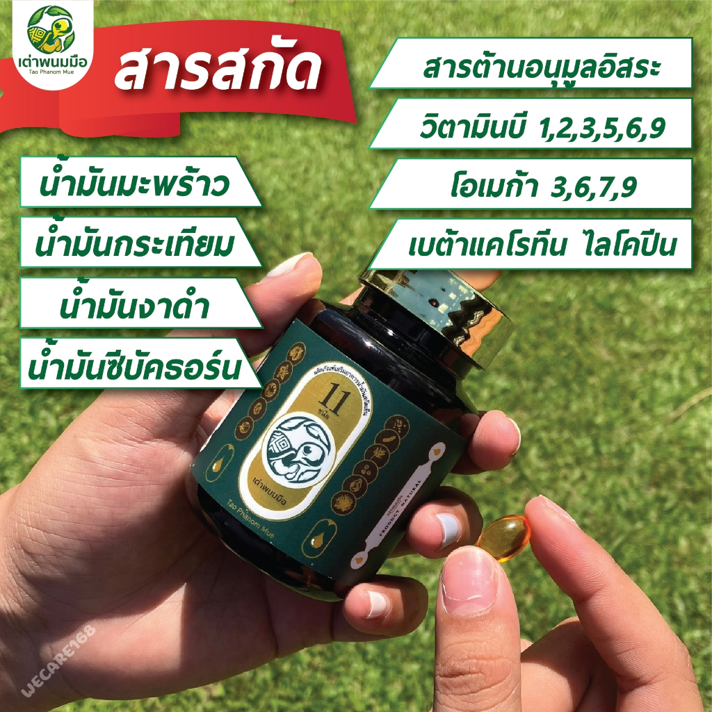 โปรสุดคุ้ม-เต่าพนมมือ-2แถม4-ขายดีมาก-น้ำมันสกัดเย็น-เต่าพนมมือ-11-ชนิด-เบาหวาน-ความดัน-ไขมันสูง-อาหารเสริมของแท้