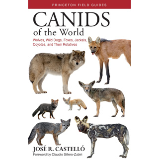 Canids of the World Wolves, Wild Dogs, Foxes, Jackals, Coyotes, and Their Relatives - Princeton Field Guides