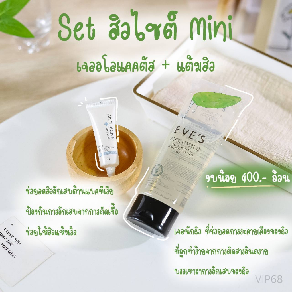 เซตรักษาสิว-ครีมแต้มสิว-amp-อโลแคคตัส