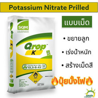 🔥ยกกระสอบ 25 กก.🔥ปุ๋ย 13-0-46 โพแทสเซียมไนเตรท (ขยายลูก เร่งน้ำหนัก) 💥ใช้ทำบั้งไฟ💥 สุดยอดปุ๋ยไนเตรท แบบเม็ด เกรดพรีเมียม