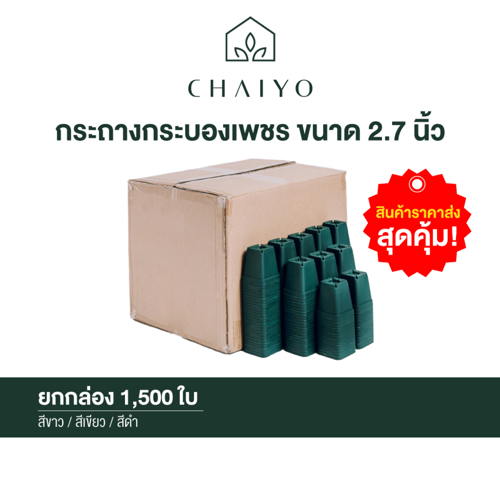 กระถางกระบองเพชร-ขนาด-2-7-นิ้ว-ยกกล่อง-1-500-ชิ้น-succulent-pot-1-500-pcs