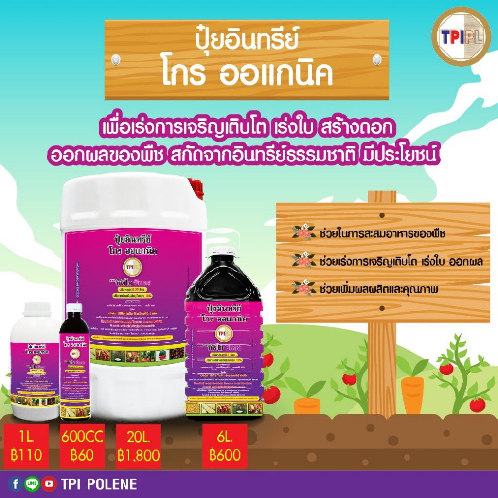 ปุ๋ยอินทรีย์โกรออแกนิค-ปุ๋ยม่วง-ทีพีไอ-สูตรเร่งดอก-เพิ่มการติดผล-1-ลิตร