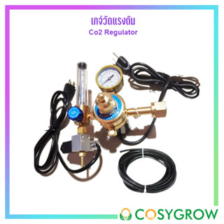 เครื่องวัดความดัน Co2 Regulator（cga320）มีฮิตเตอร์ป้องกันน้ำแข็งเกาะตัว ควบคุมการไหลของแก๊ส CO2