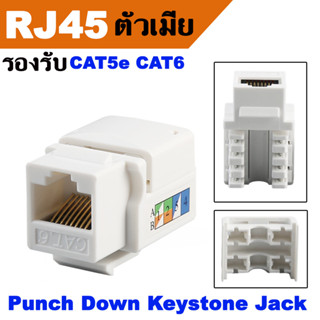 CAT6 / CAT5e RJ45 Module หัวแลนตัวเมีย เต้ารับหัวแลนตัวเมีย Lan RJ45 Female - CAT6 Connector Adapter Network Jack