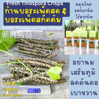 บอระเพ็ดสดและสกัดต้มขมเหมือนก้านorganic