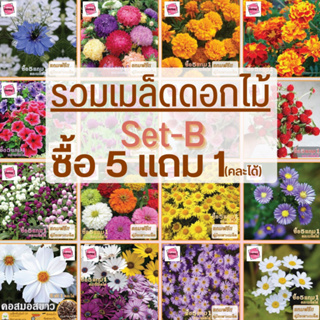 ชุด2 รวมเมล็ดพันธุ์ดอกไม้ ซื้อ 5 แถม 1 หลายชนิด ดอกสวย แข็งแรง ปลูกง่าย โตไว ราคาถูก อัตรางอกสูง ส่งทุกวัน ล็อตใหม่ทุกออ