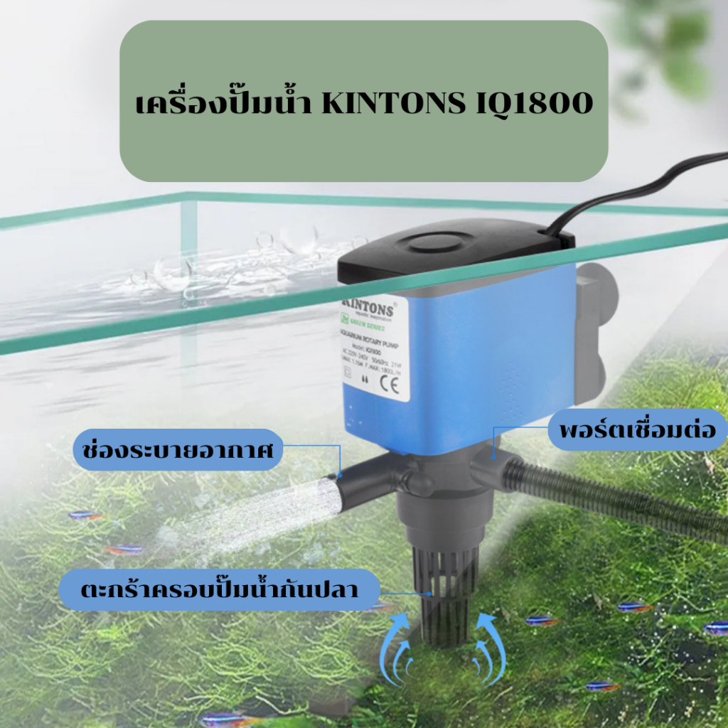 kintons-เครื่องปั๊มออกซิเจน-iq1800-ที่สูบน้ำเพิ่มออกซิเจน-เสียงเงียบไร้เสียงรบกวน