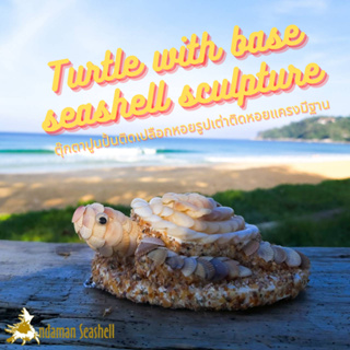 Andaman seashell  ตุ๊กตาปูนปั้นติดเปลือกหอย เต่าติดหอยแครงมีฐาน