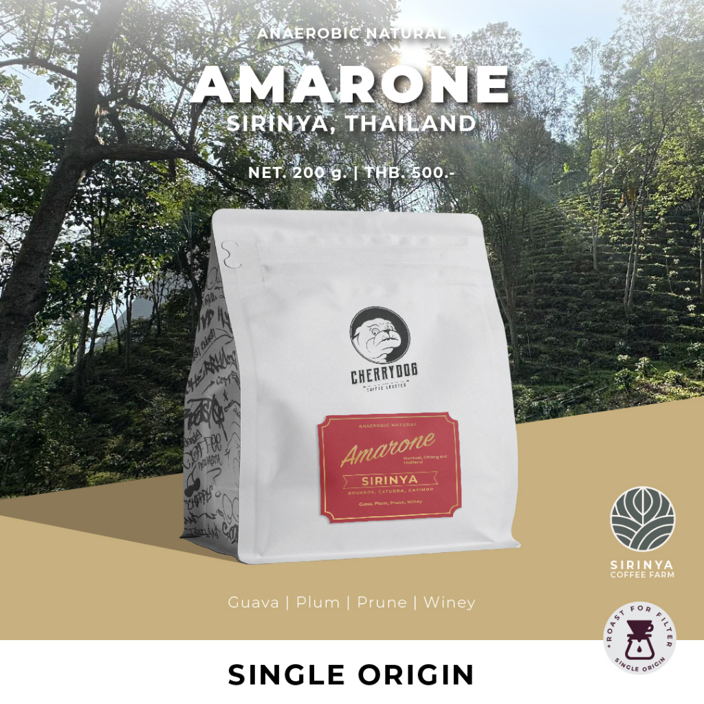 cherrydog-i-sirinya-maesual-chiang-ria-thailand-i-single-origin