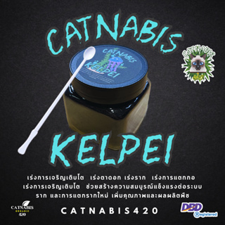 คุ้ม!!! Catnabis Kelpei ผงสาหร่ายทะเล แบบกระปุก 50 กรัม เปิดตาดอก แตกกอ เร่งการเจริญเติบโต เร่งตาดอก เร่งรากเร่งการแตกกอ