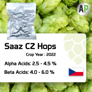 Saaz CZ Hops Pellets T-90 ฮอปส์ เพลลิท ทำเบียร์ Homebrew Crop 2022 1oz [Yakima Chief Hops]