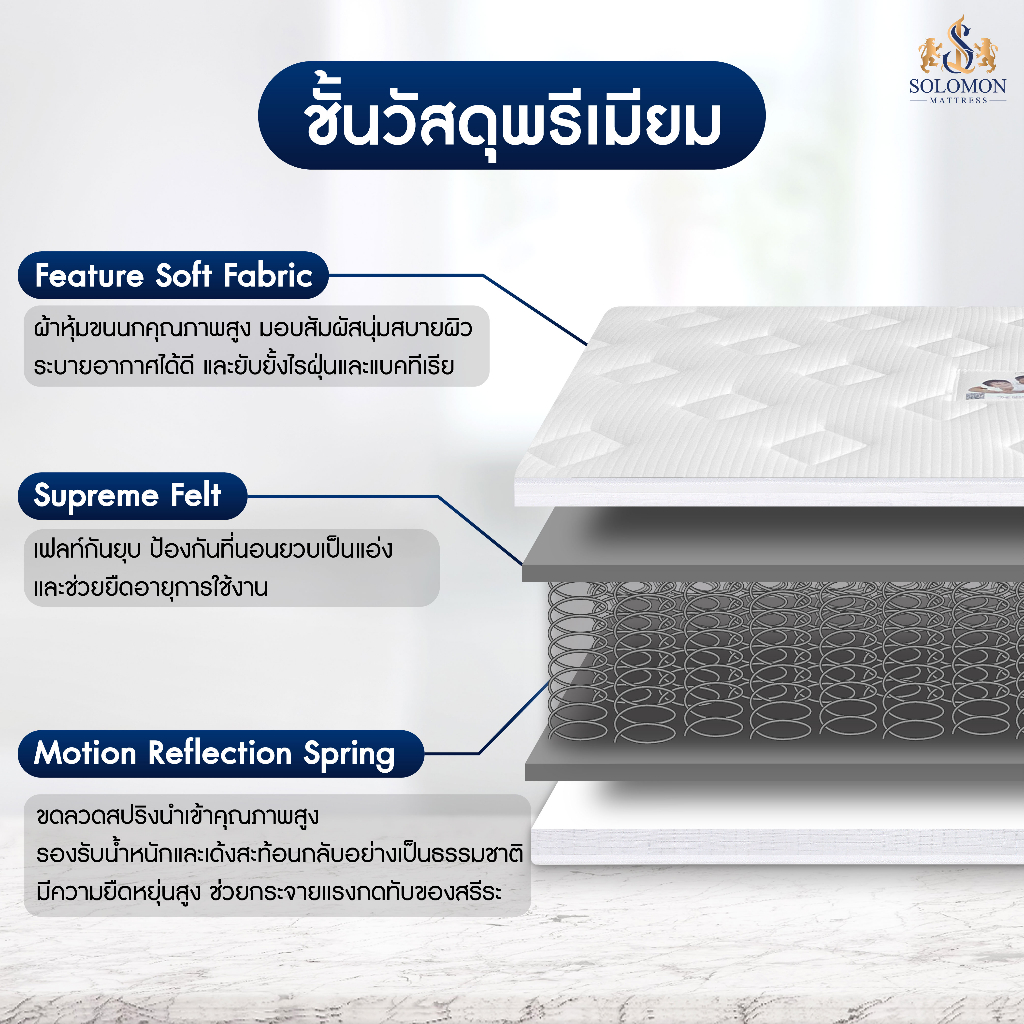 ภาพสินค้าSolomon ที่นอนสปริง Hybrid รุ่น Cornflaks ความหนา 9 นิ้ว นุ่ม นอนสบาย แถมฟรีหมอนหนุนใบใหญ่ จากร้าน solomonmattress บน Shopee ภาพที่ 4