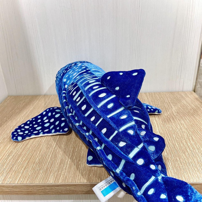 ปลาฉลามวาฬลายจุด-สีน้ำเงิน-น้องไซส์ใหญ่อยู่ค่ะ-ป้ายงานชัดเจน