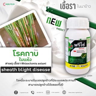 👍👍#พรีโซ่#👌👌สารป้องกันกำจัดโรคพืช# พรีโซ่หยุดโรคร้ายป้องกันเชื้อราในนาข้าว โรคใบไหม้ โรคใบจุดสีน้ำตาล โรคกาบใบแห้ง ขวด 2