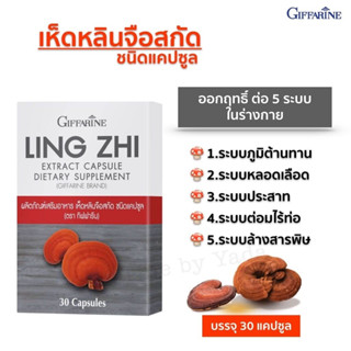 เห็ดหลินจือสกัด กิฟฟารีน ชนิดแคปซูล / เห็ดหลินจือแดง LING ZHI MUSHROOM GIFFARINE บำรุงร่างกาย บำรุงไต