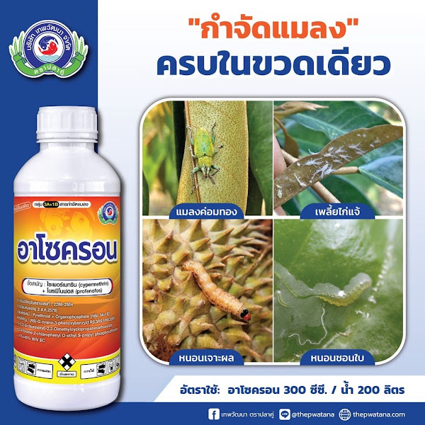 อาโซครอน-ล้างบางเพลี้ยหนอนด้วง-ไซเพอร์เมทริน-โพรฟีโนฟอส-หนอนเจาะดอก-หนอนชอนใบ-แมลงค่อมทอง-เพลี้ย-500-ซีซี