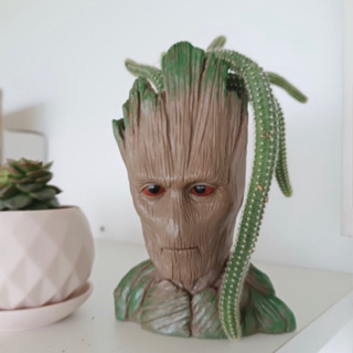 groot pot กระถางกรูท ตอนโต