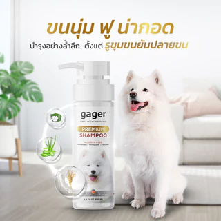 ช้อป gager ราคาสุดคุ้ม ได้ง่าย ๆ | Shopee Thailand