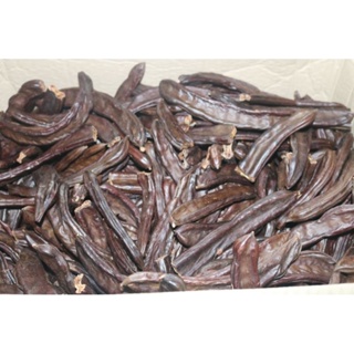 เมล็ดพันธุ์ ฝักคารอป//carob  ขีดละ 250บาท ลดพิเศษขีด200บาท